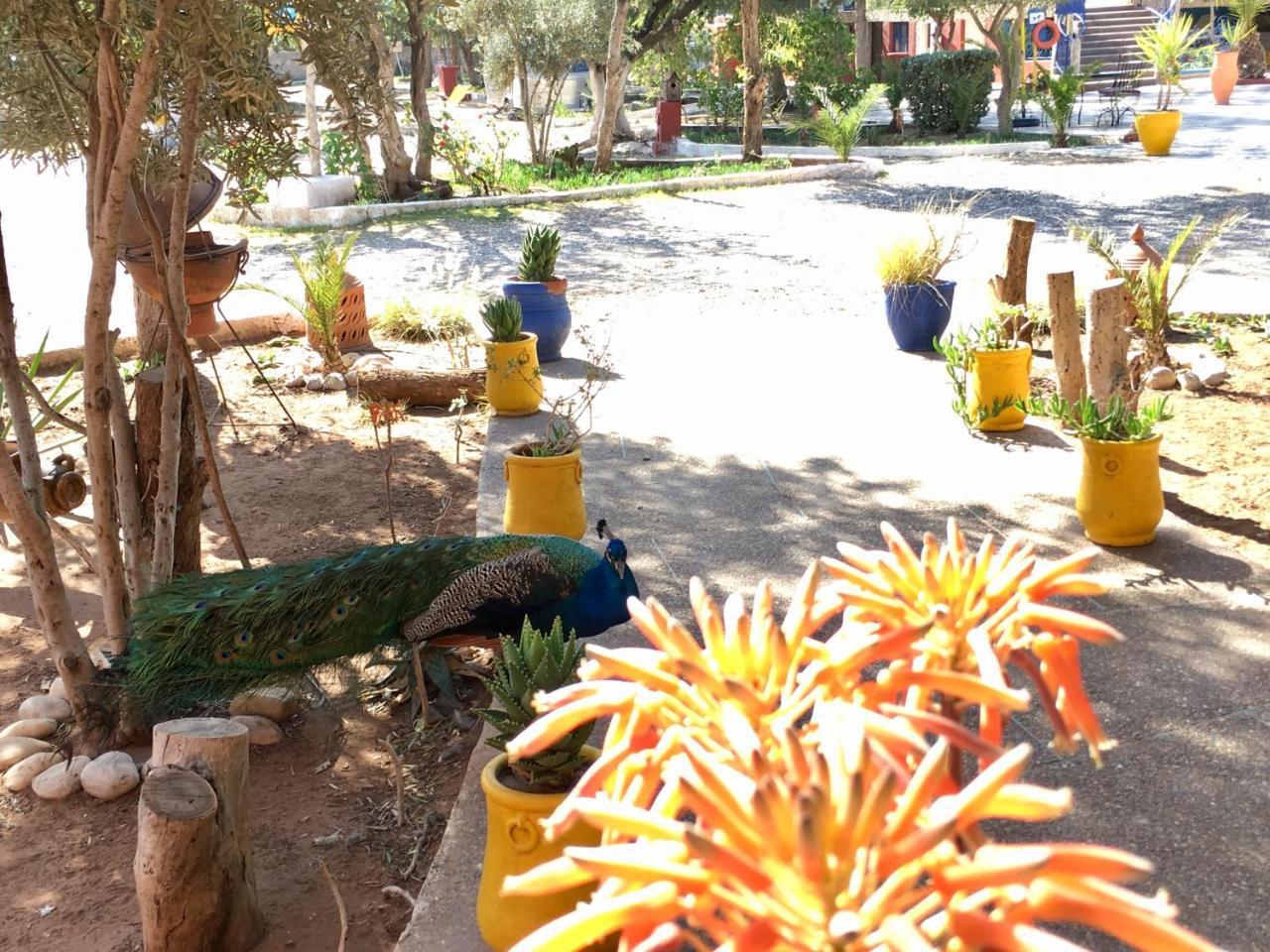 Camping & Hotel Le Calme Essaouira Eksteriør billede