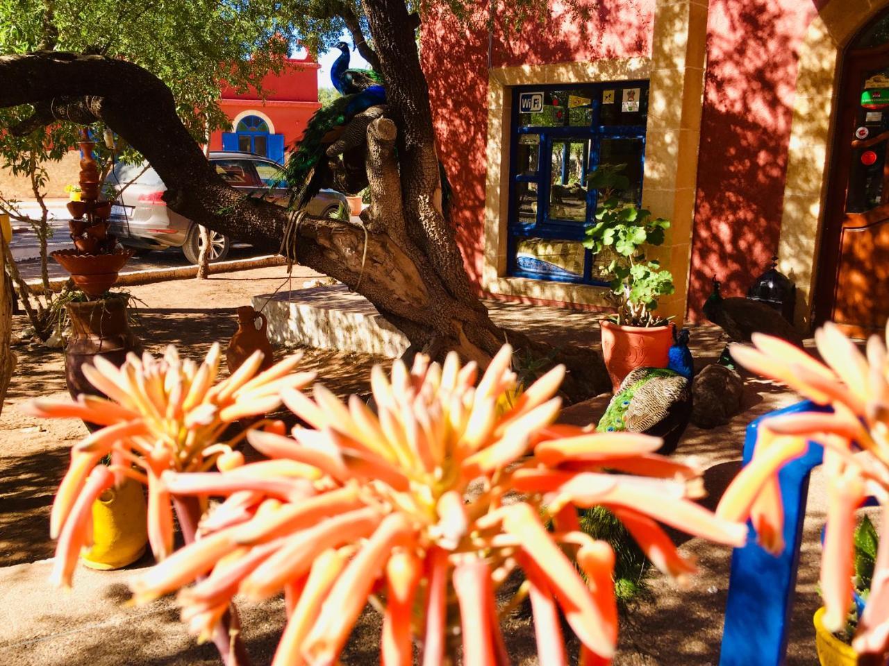 Camping & Hotel Le Calme Essaouira Eksteriør billede